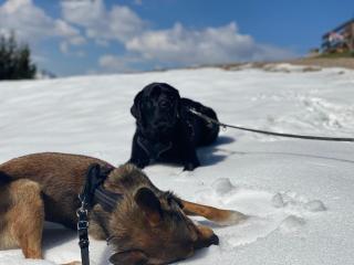 Hotel Casa Maria - 3