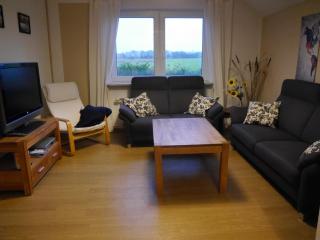 Ferienhaus am Nordseedeich in Alleinlage - 1