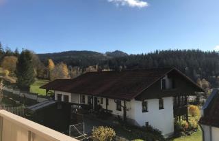 Ferienwohnungen Jonuscheit - Bodenmais - 6