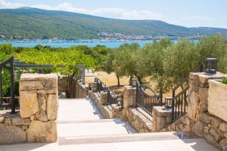 Apartments ROYAL - 3