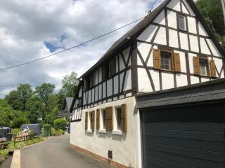 Ferienhaus Ehrbachklamm - Brodenbach - 1