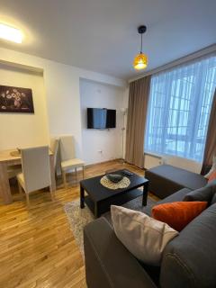 Apartments Enzo Kopaonik - 9