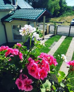 Casa Moldovan ( Coltisorul meu de rai) - Ocna Şugatag - 4