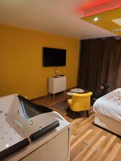 SPA Celyna appartement avec jacuzzi privatif - Lyon - 7
