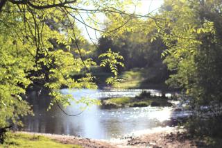 La Ferme de Plénoise Chambre & Table d'hôtes - 1