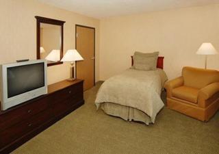 Holiday Inn Express & Suites Buford NE - Lake Lanier by IHG - 2