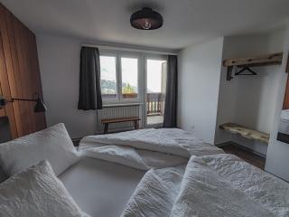 Berghotel Weisshorn - Törbel - 6