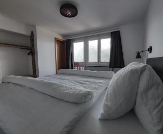 Berghotel Weisshorn - Törbel - 9