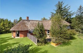 Awesome Home In Blåvand With Sauna - Blåvand - 3