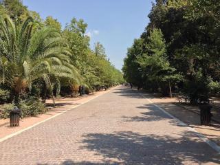Picolino - 3