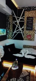 Studio Apartman Black & White Centar Sarajevo free parking - Sarajevo - 7