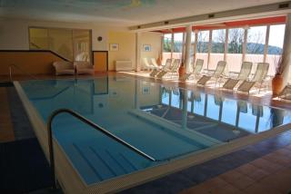 THERMEN - APARTMENT BIODORF Bad Waltersdorf - Bad Waltersdorf - 6