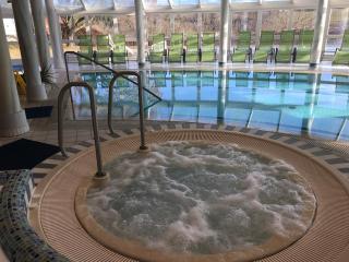 THERMEN - APARTMENT BIODORF Bad Waltersdorf - Bad Waltersdorf - 9