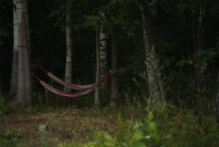 Rent a tent - Namiot w Praekologicznym gospodarstwie - 1
