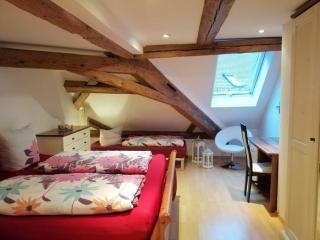Apartment S10 in Bester Lage stilvoll im Zentrum von Bayreuth mit Klimaanlage und Parkplatz - Bayreuth - 7
