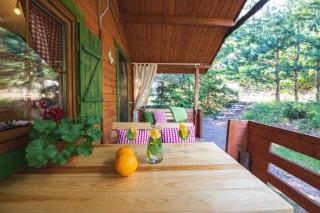 Domki KOLONIA LEŚNA z sauną i gorącą balią - 6