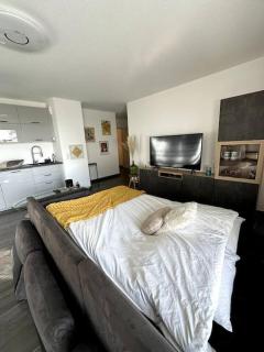 Superbe appartement proche de Strasbourg - Bischheim - 9