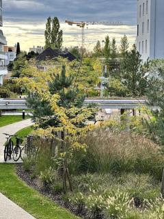 Superbe appartement proche de Strasbourg - Bischheim - 6