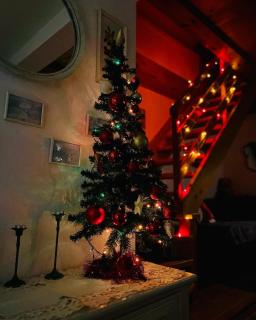 Holiday Home Amila - Visoko - 8