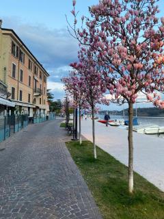 Wonderful apartment to enjoy your confort and relax in a magic surroundings of the Garda Lake - 1