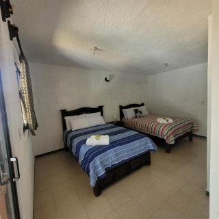 LA VILLA DE LA ABUELA - San Cristóbal de las Casas - 1