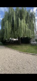 Gite des Colverts - Lailly-en-Val - 7