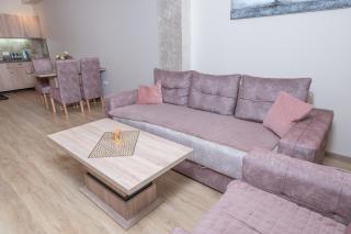 Apartman Djuric Lux Gondola - Zlatibor - 8