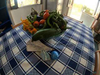 Appartamento verso il Castello - Agropoli - 4