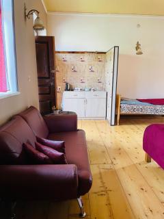 Travel Inn House Mestia • მოგზაურის სახლი - 3