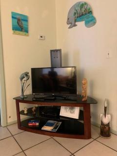 Professor Rousseau's Manatee Bay - Crystal River - 7