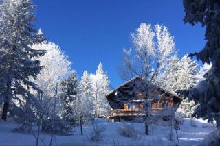 Chalet Les Airelles - Montcel - 9