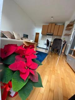 Tea Apartment - Skopje - 6