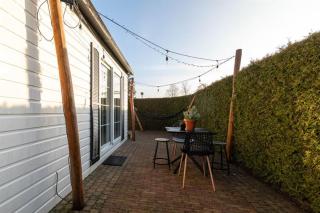 40, Theme Forest world - Dogs allowed! - 4