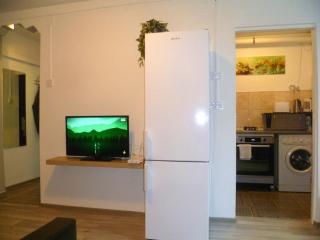 Romanilor - Studio First Floor - Deva - 1