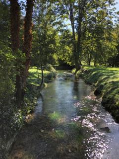Moulin à Eau - Domaine de 3 Hectares - Borne électrique - Chiens acceptés - 5