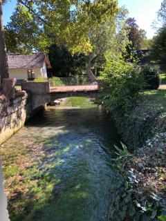 Moulin à Eau - Domaine de 3 Hectares - Borne électrique - Chiens acceptés - 4