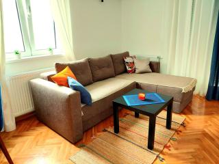 Godimento Vrnjačka Banja - Vrnjačka Banja - 8