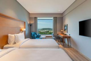 Radisson Hotel Nathdwara - Nathdwara - 3