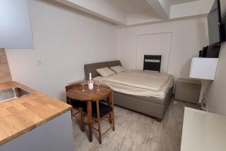 Luxusní apartmán nedaleko centra - Praga - 6