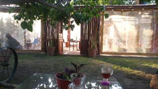 La Casa del Árbol - Carmen de Areco - 5