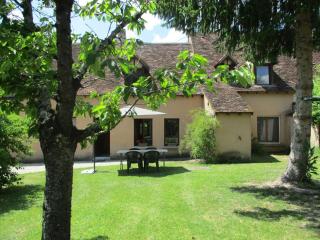 Gîte familial au cœur du parc de La Brenne avec étang privé, cheminée, Wi-Fi et animaux acceptés - FR-1-591-377 - Rosnay - 0