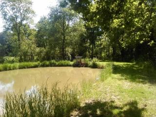 Gîte familial au cœur du parc de La Brenne avec étang privé, cheminée, Wi-Fi et animaux acceptés - FR-1-591-377 - Rosnay - 5