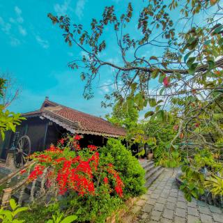 CASA ECO Mekong Resort - Can Tho - 5