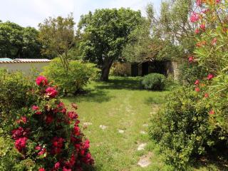 Maison rénovée 4 pièces, proche plage, 7 couchages, jardin clos, Dolus-d'Oléron - FR-1-246A-119 - Dolus-d'Oléron - 9