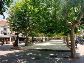 Appartement 3 pièces avec parking, animaux admis, Le Lavandou - FR-1-251-374 - 3