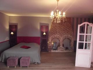 La Chaussee d'Olivet en Mayenne - Olivet - 4