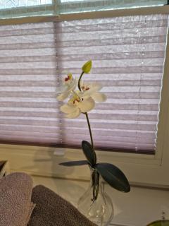 Gästequartier Schlummerkasten - 4