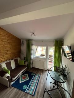 Casa Rares Busteni - Buşteni - 1