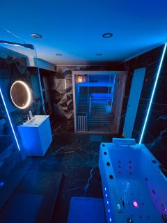 Appart Hotel avec Sauna, Jacuzzi, - Estrasburgo - 9
