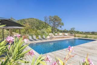 Les Lofts de Sainte-Lucie-de-Porto-Vecchio - Sainte-Lucie de Porto-Vecchio - 1